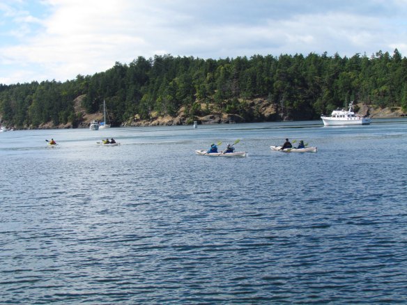 Kayaks in Reid Harbor