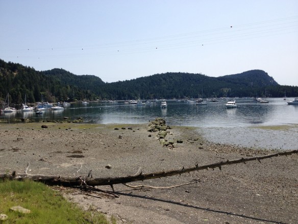 Montague Park beach low tide Montague Park beach low tide