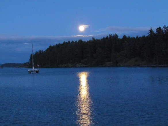 Moon at Reid Harbor