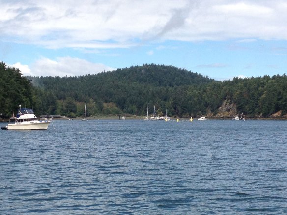 Reid Harbor in the morning