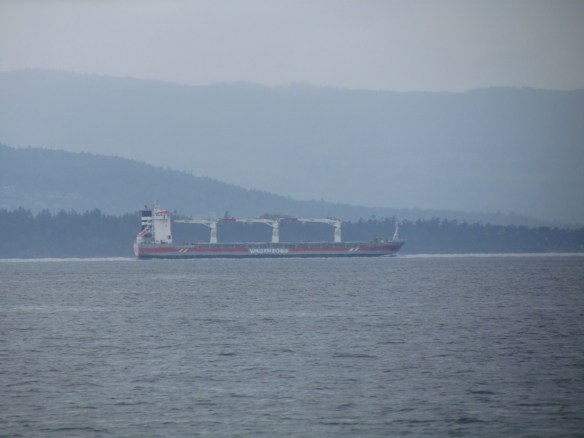 Container ship in Haro Strait