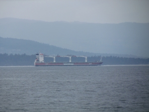 Container ship in Haro Strait