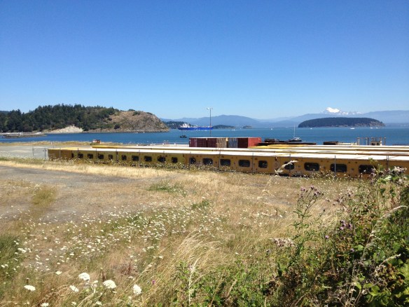 View of Cap Sante, Fidalgo Bay, and Mt. Baker