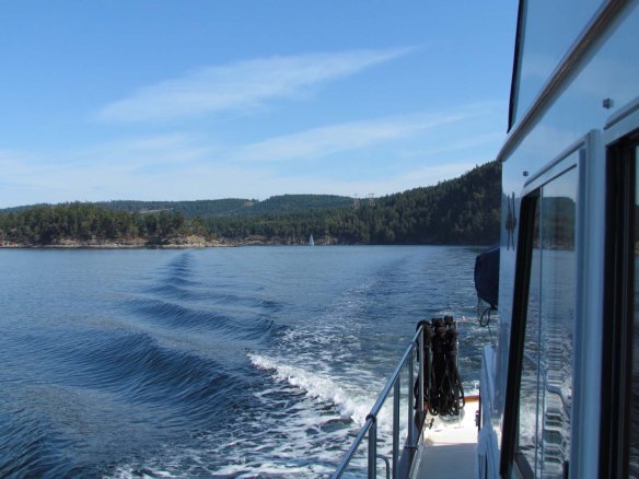 leaving montague leaving montague