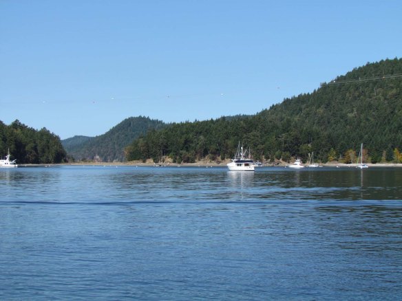 montague harbour north closeup montague harbour north closeup