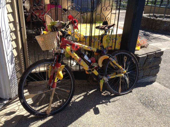 fruit bicycle in Ganges