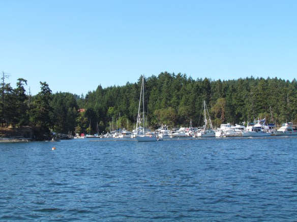 Port Browning Marina Close Up Port Browning Marina Close Up