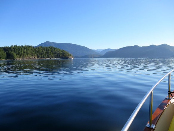 leaving squirrel cove