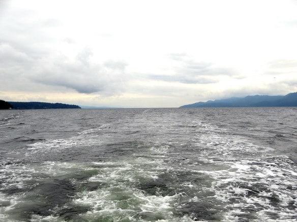 Malaspina Strait