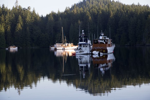 squirrel cove reflections