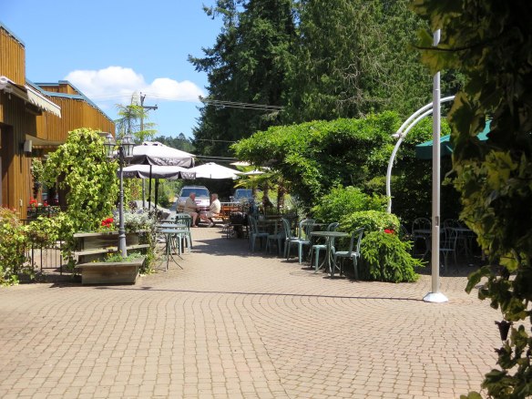 driftwood center outdoor eating