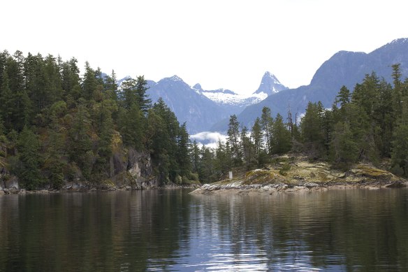 leaving prideaux haven