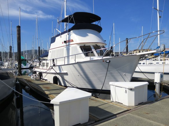phoenix anacortes marina