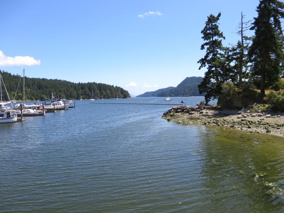 Port Browing Marina and shoreline