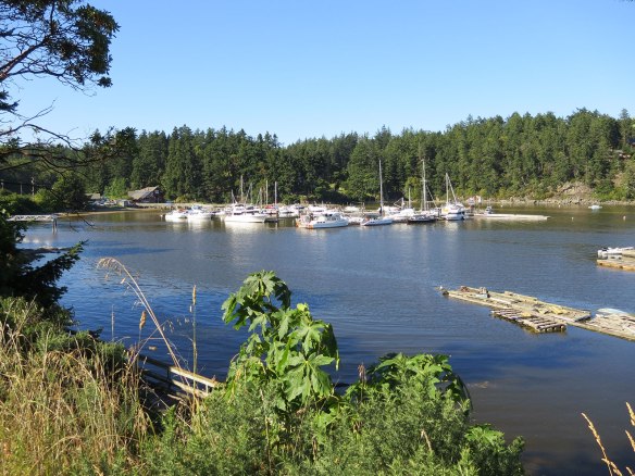salt spring marina front view