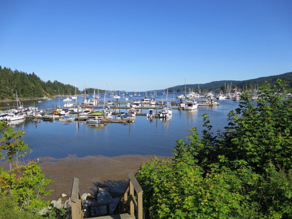 salt spring marina