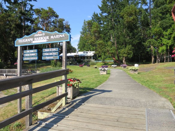 telegraph harbor marina grounds