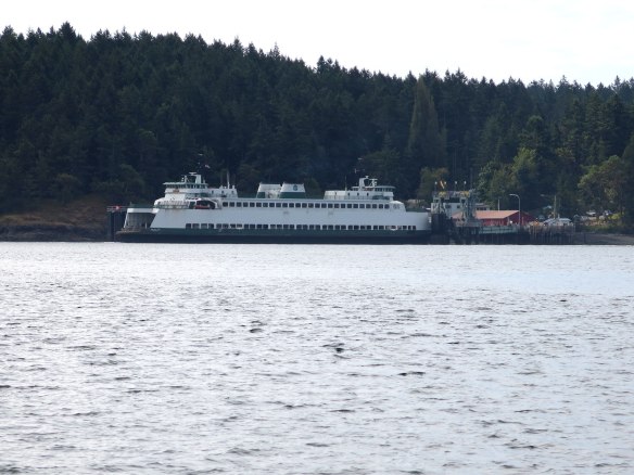 washington state ferry shaw island