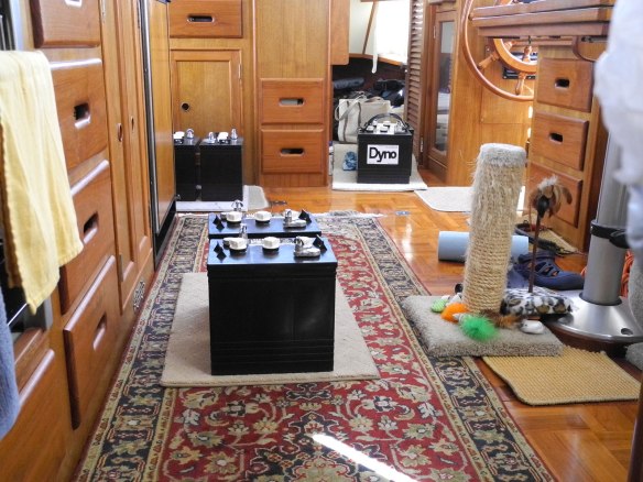 New Dyno batteries in cabin