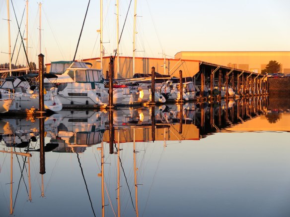 reflections in the marina