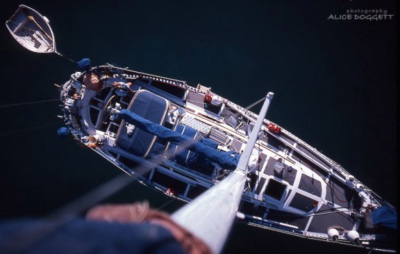 carina's deck from masthead