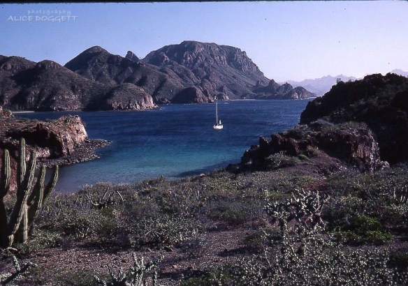 honeymoon cove mexico