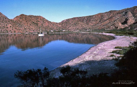 isla san francisquito