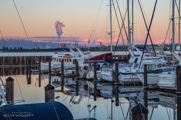 anacortes marina evening