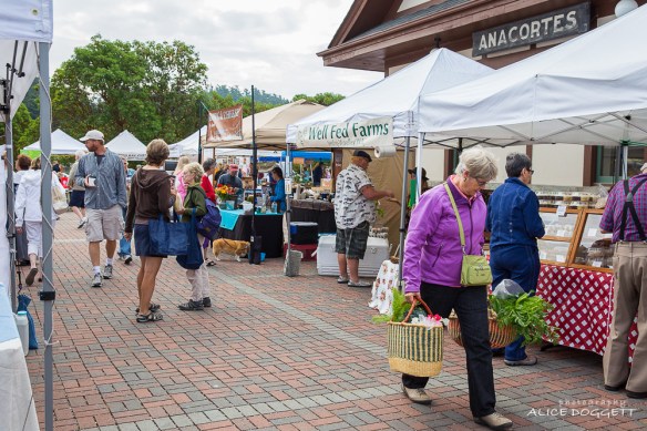 anacortes-market-venders