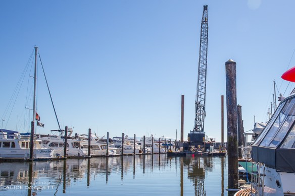 salvage crane anacortes marina boat fire