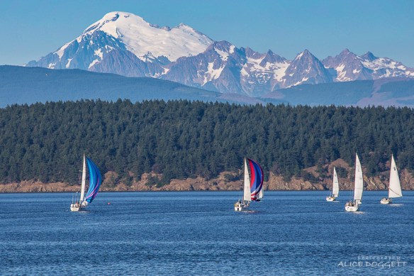Fidalgo Bay Sailing