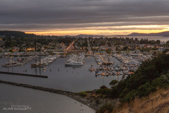 Cap Sante Marina At Sundown