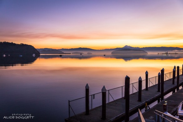 Fidalgo Bay At Sunrise
