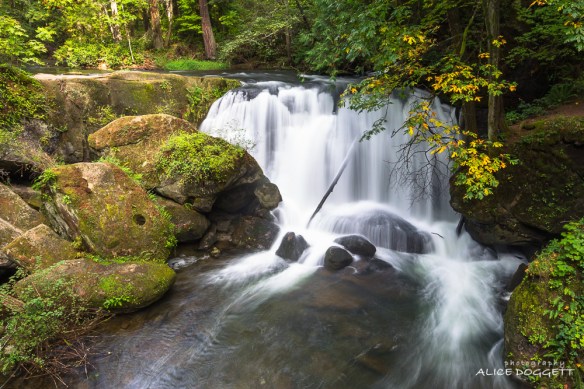 Whatcom Falls