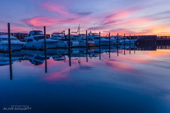 Anacortes Marina At Dawn
