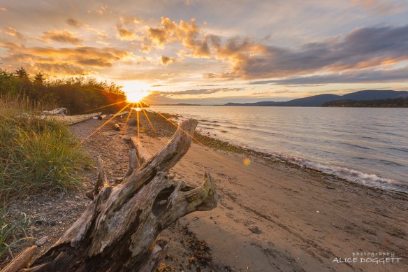Sunset At Guemes Channel Beach
