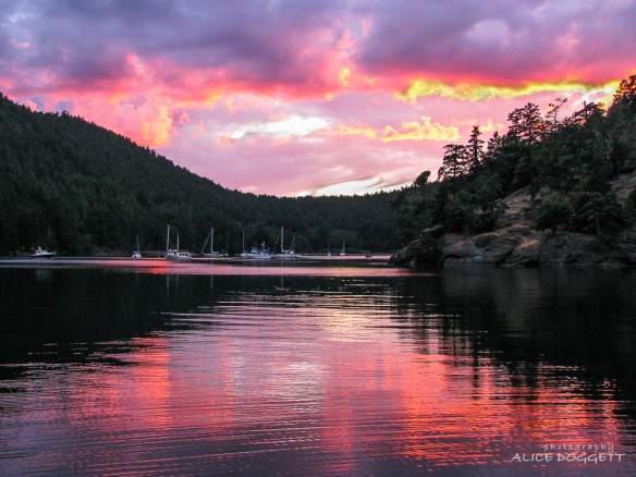 san juan islands sunset at reid harbor