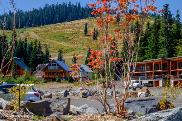 At Snoqualmie Pass