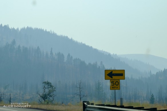 Lots of smoke at Satus Pass